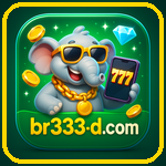 br333